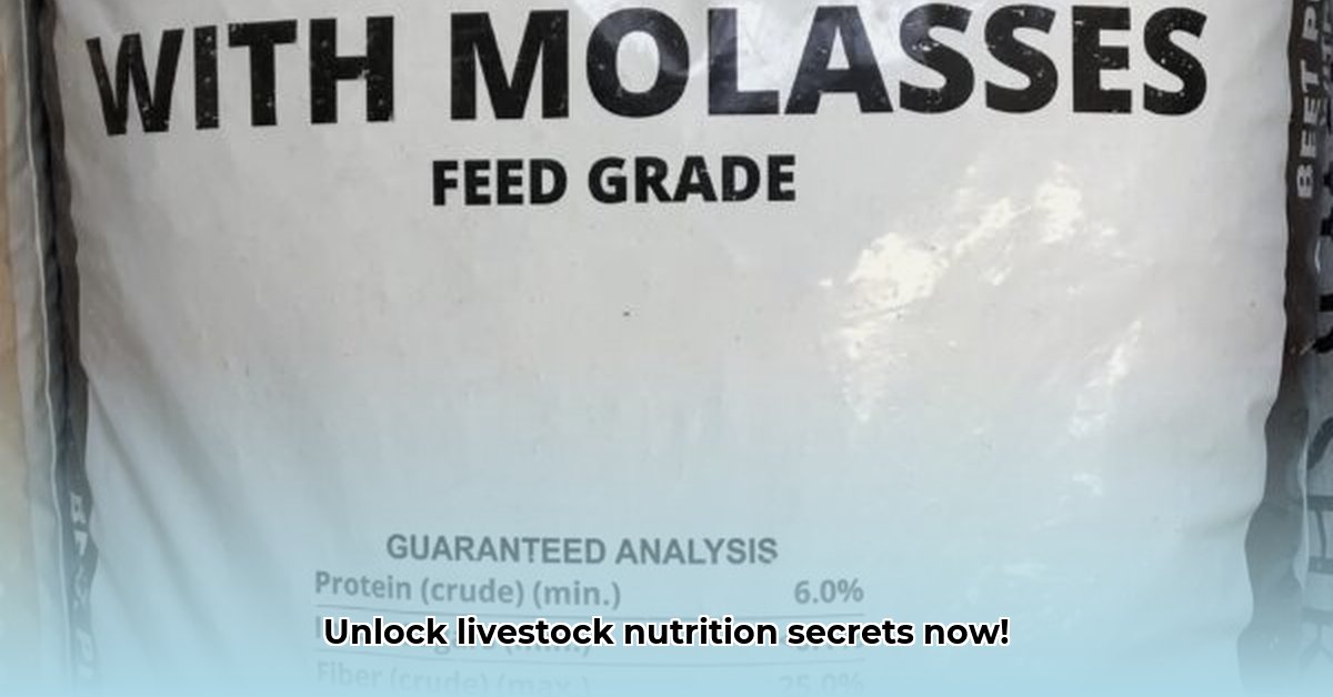 tractor-supply-beet-pulp